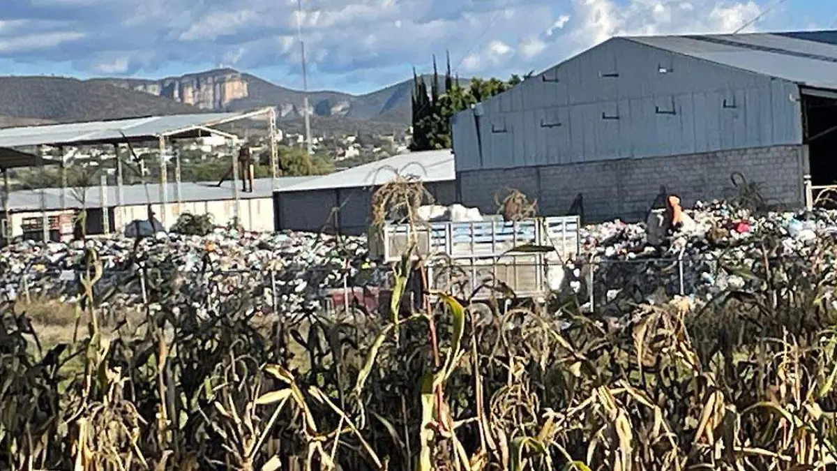 basura clandestina
