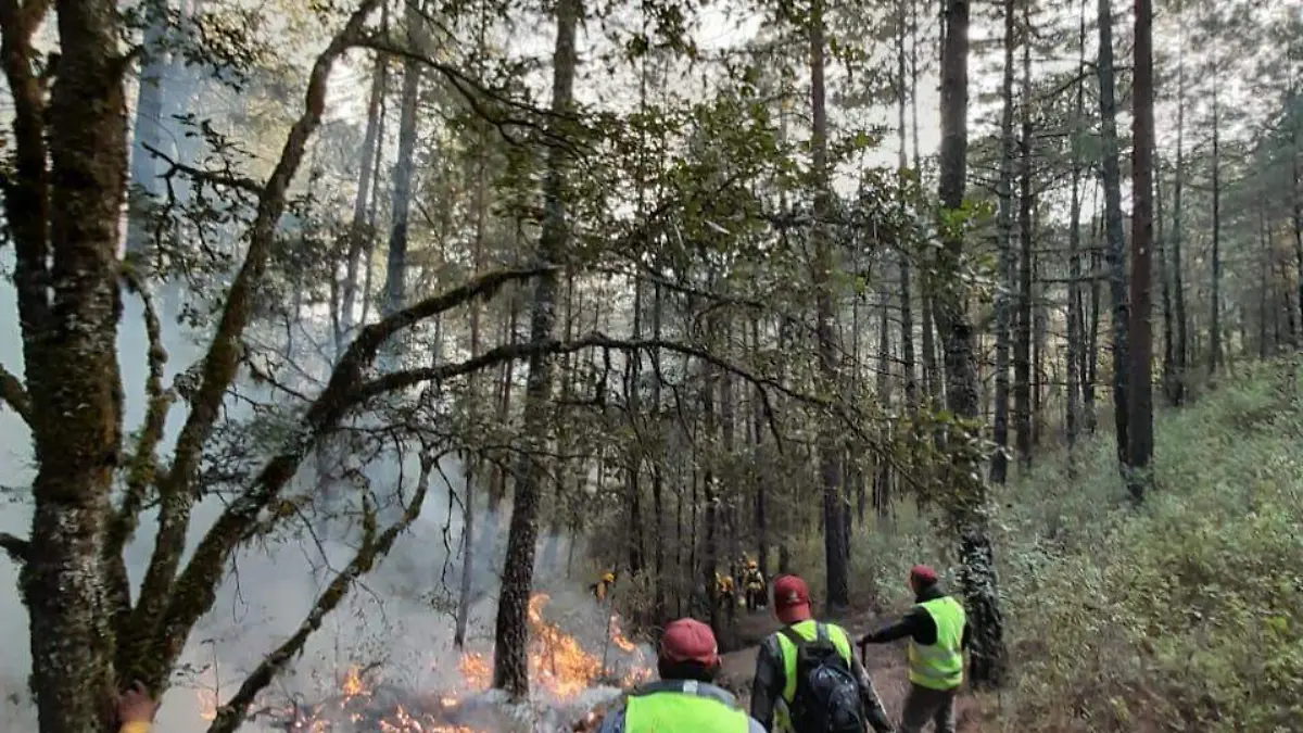 Aún sin sofocar fuego en Tetela y Zacatlán