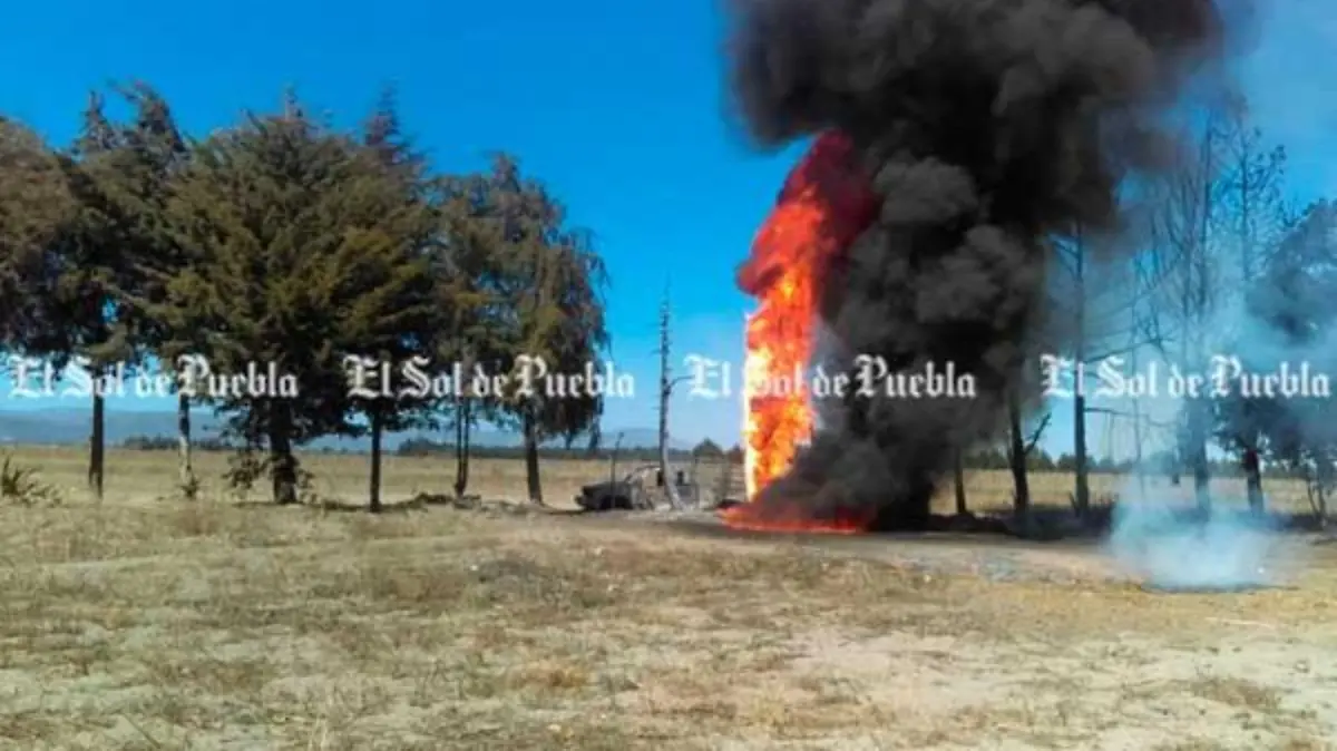 11-ducto-palmar-de-bravo