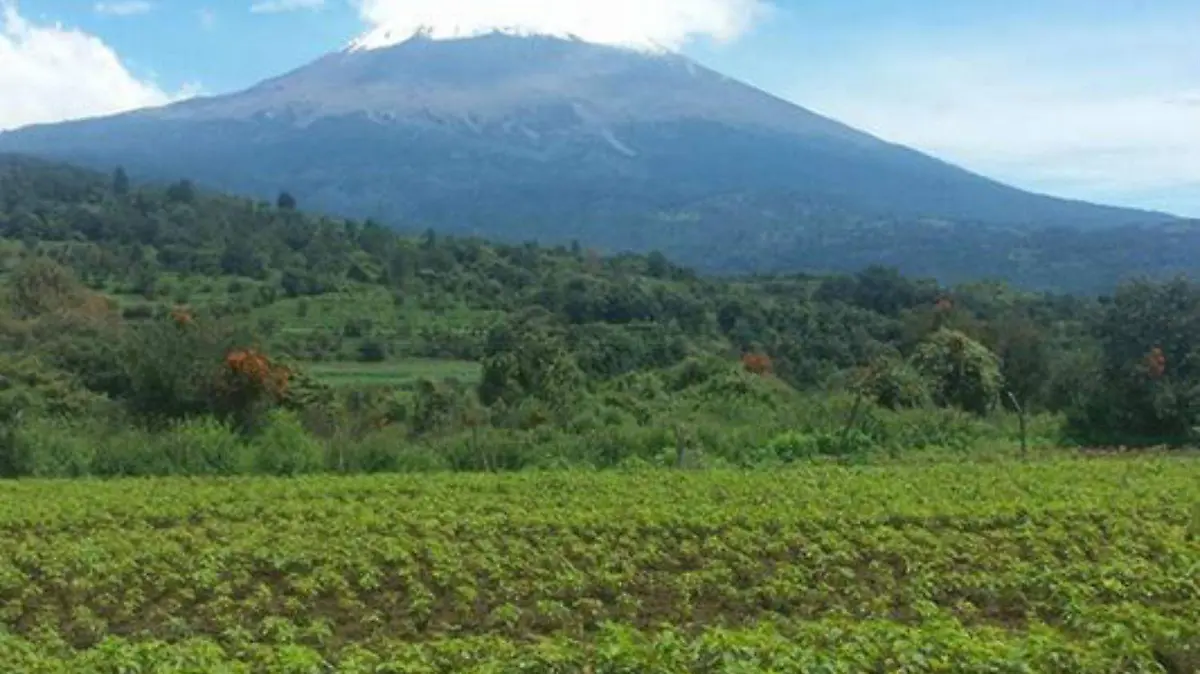 REGIDOR-TOCHIMILCO-2