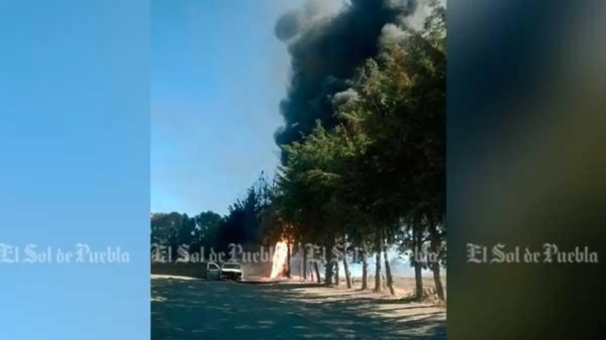 9-ducto-palmar-de-bravo