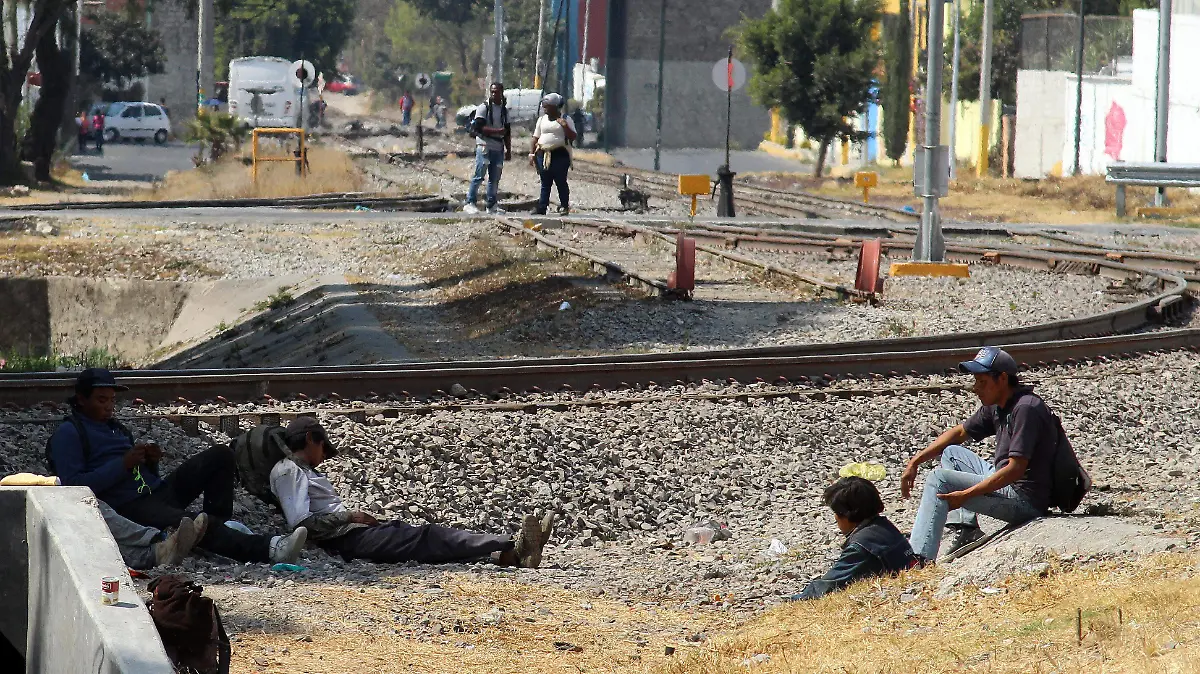 MIGRANTES (3 COLS DE 6)