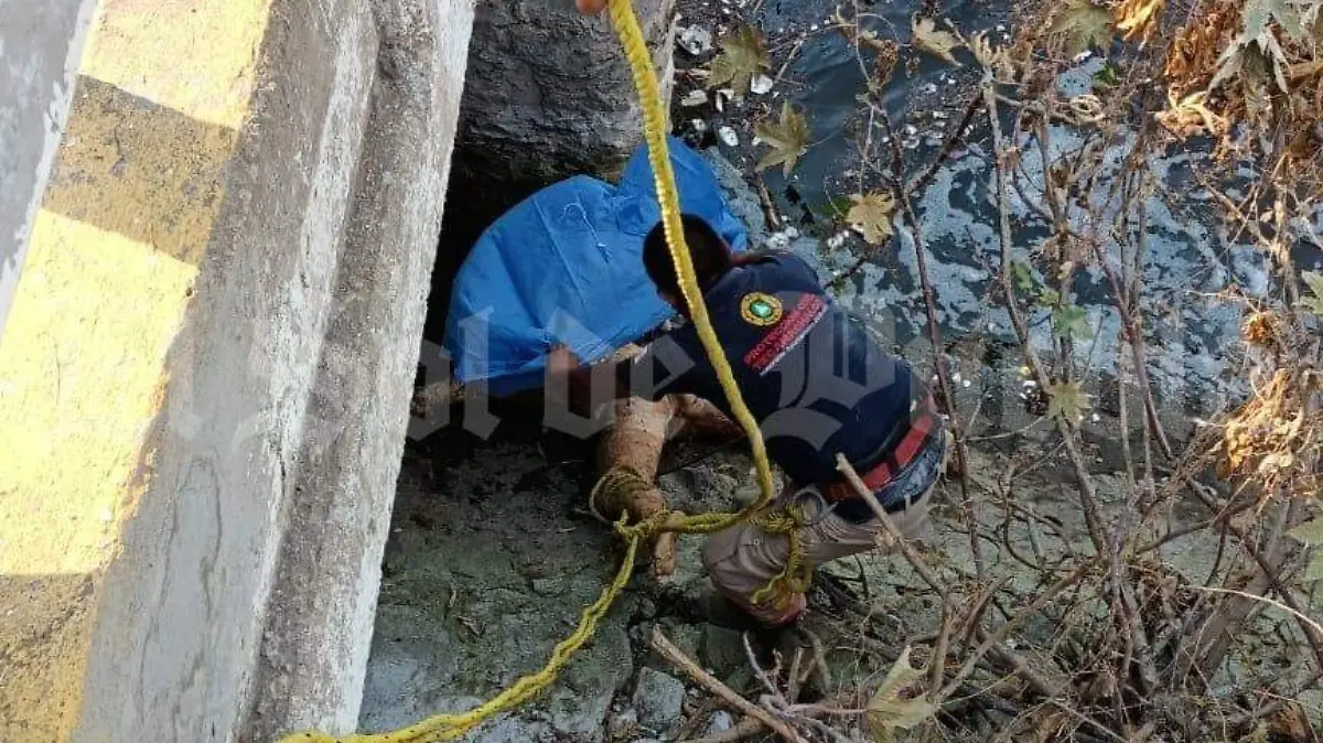 Cadáver mujer Tecamachalco