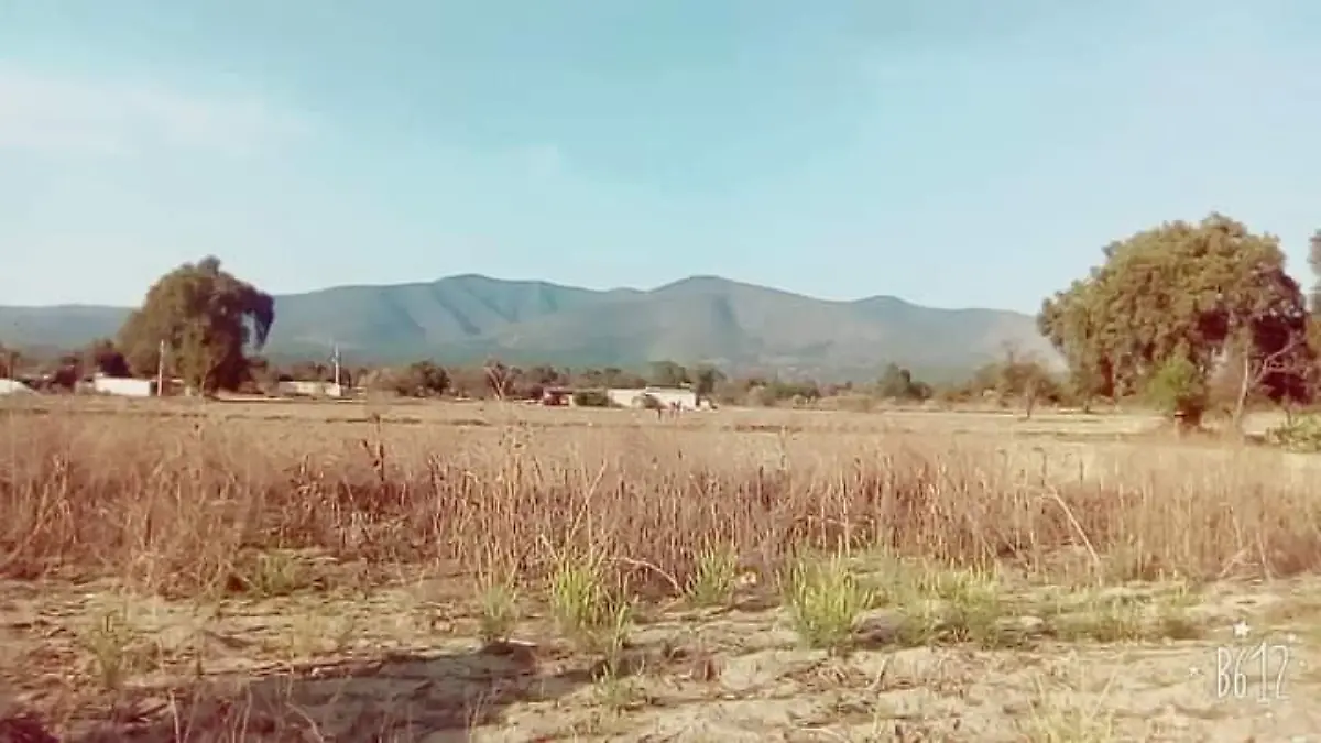 Cultivos de felipe angeles