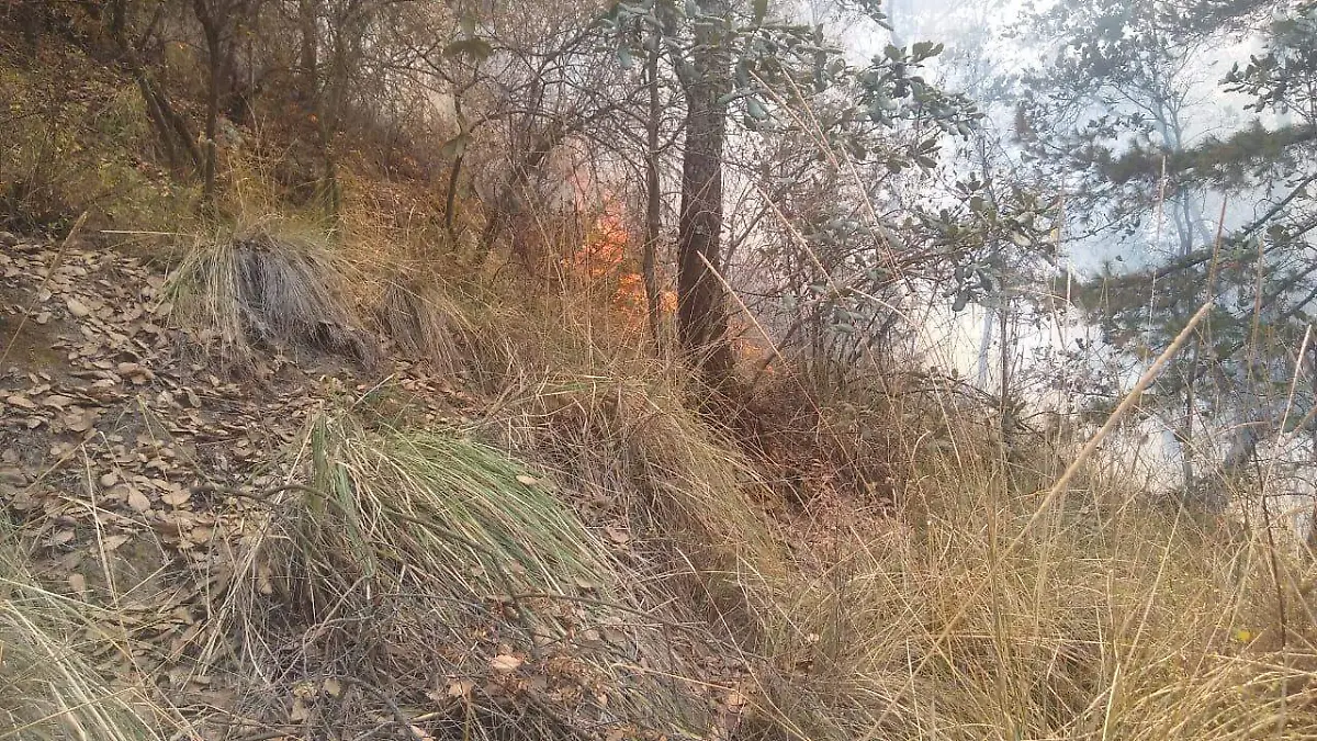 incendio cerro las antenas