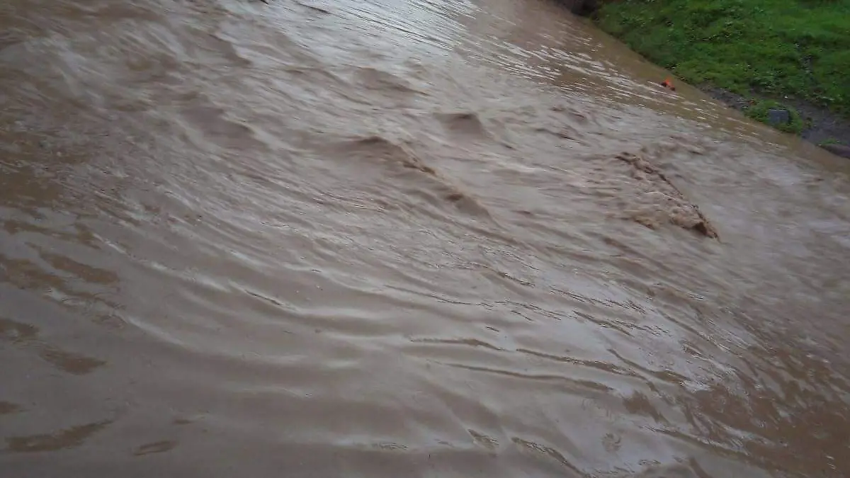 WhatsApp Image 2021-07-02 at 17.58.50