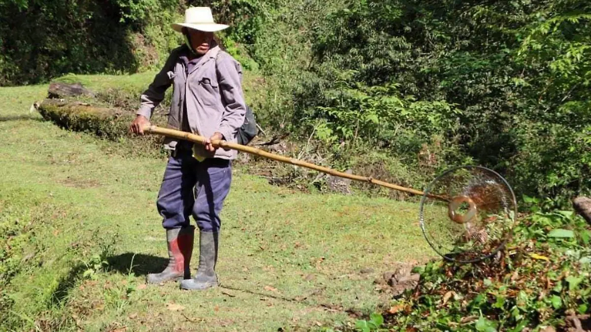 Disminuye 65% agua en manantial de Xicotepec
