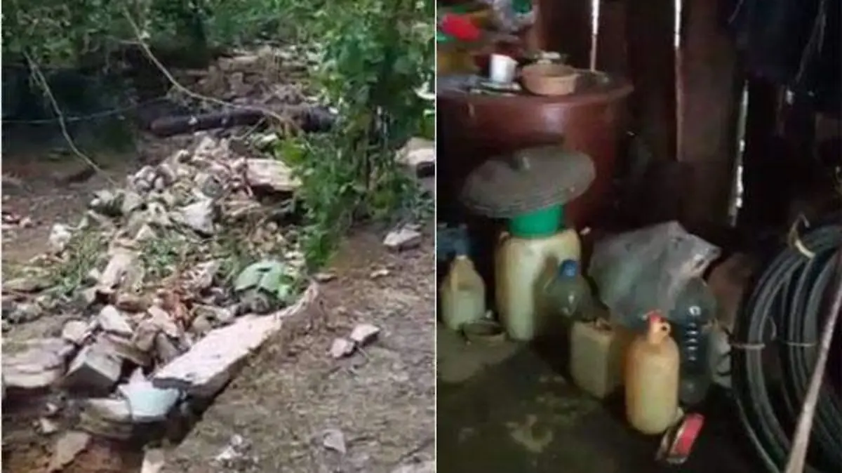 hermenegildo galeana