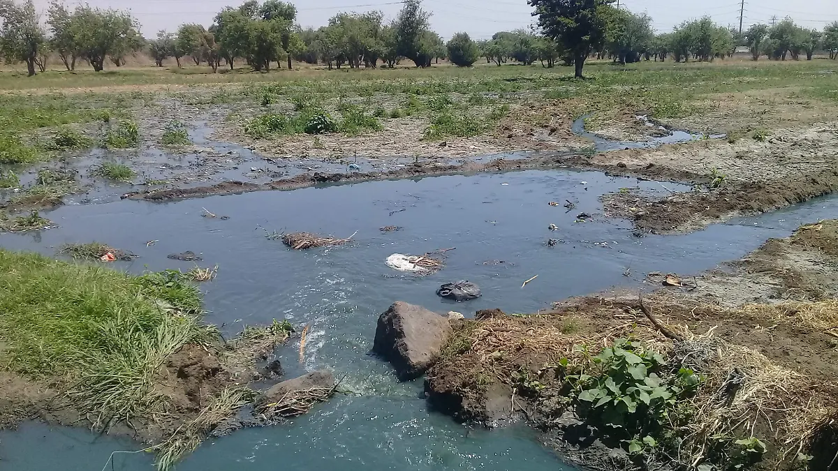 CONTAMINACION ATOYAC 1