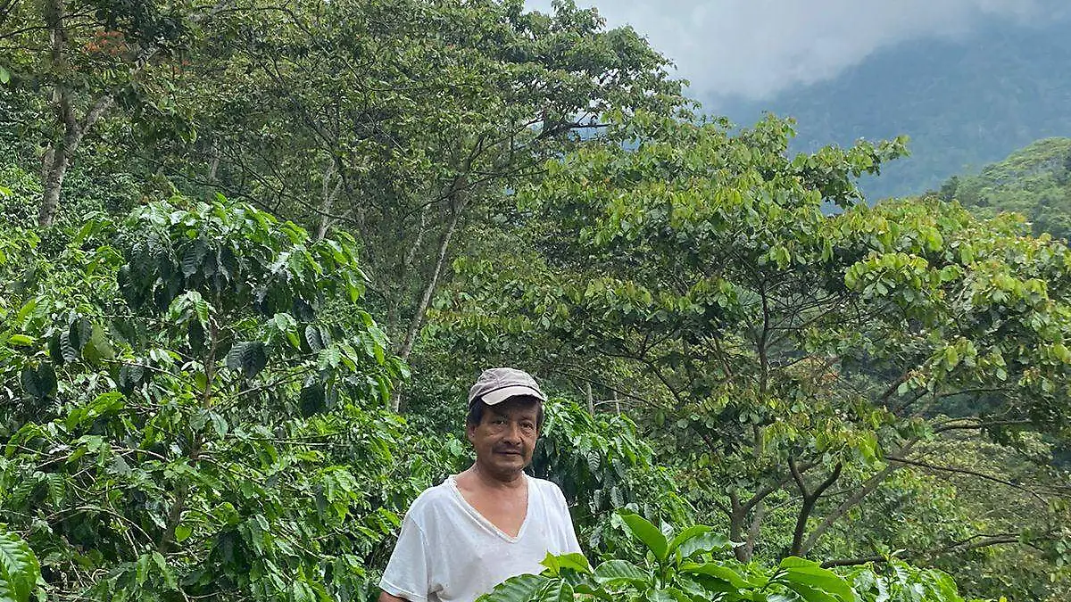 El Yara CHAMPION Program Coffee 2023, es una plataforma donde se concentra todo el conocimiento y experiencia de Yara en el cultivo del café 