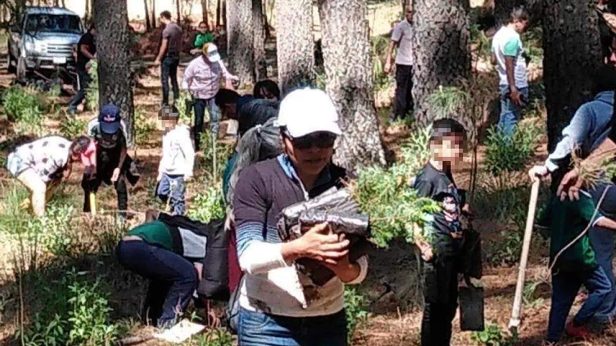 REFORESTACION TLAHUAPAN