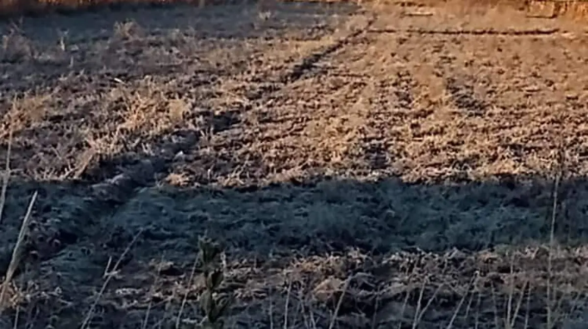 Termómetro desciende a 4 grados en Puebla  