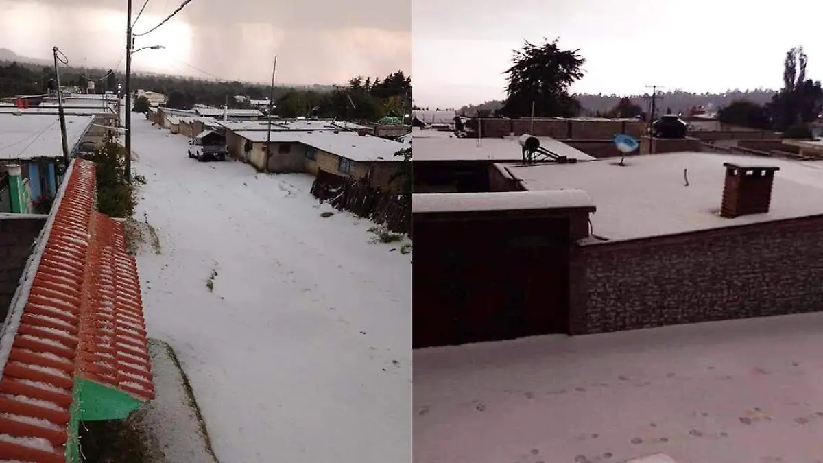 nieves