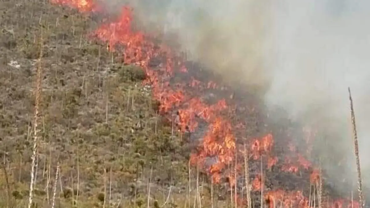 INCENDIO YEHUALTEPEC 3