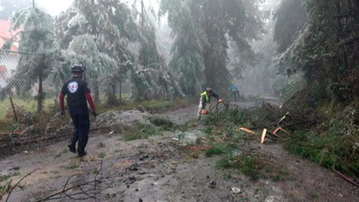 Bosques Huauchinango