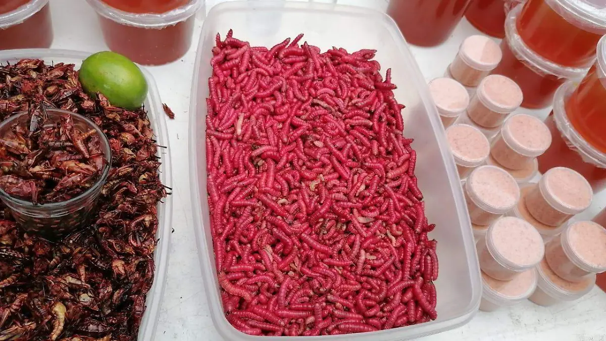 CHINICUIL 01 Pedro Alonso