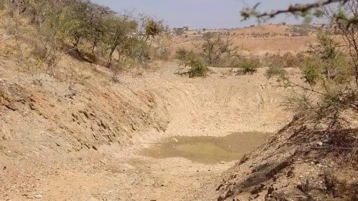 ¿Qué es el fenómenos 'La Isla de calor?