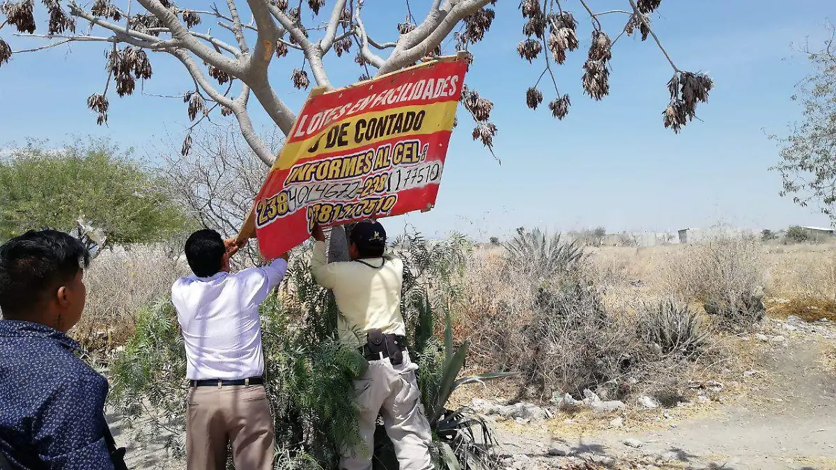 SEGUNDA - VENTA LOTES RBTC (2 COLS DE 6)