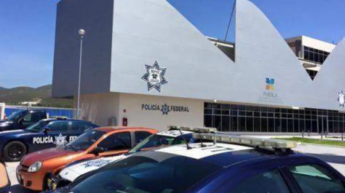 POLICÍA-FEDERAL-3-cols-de-6-471x314