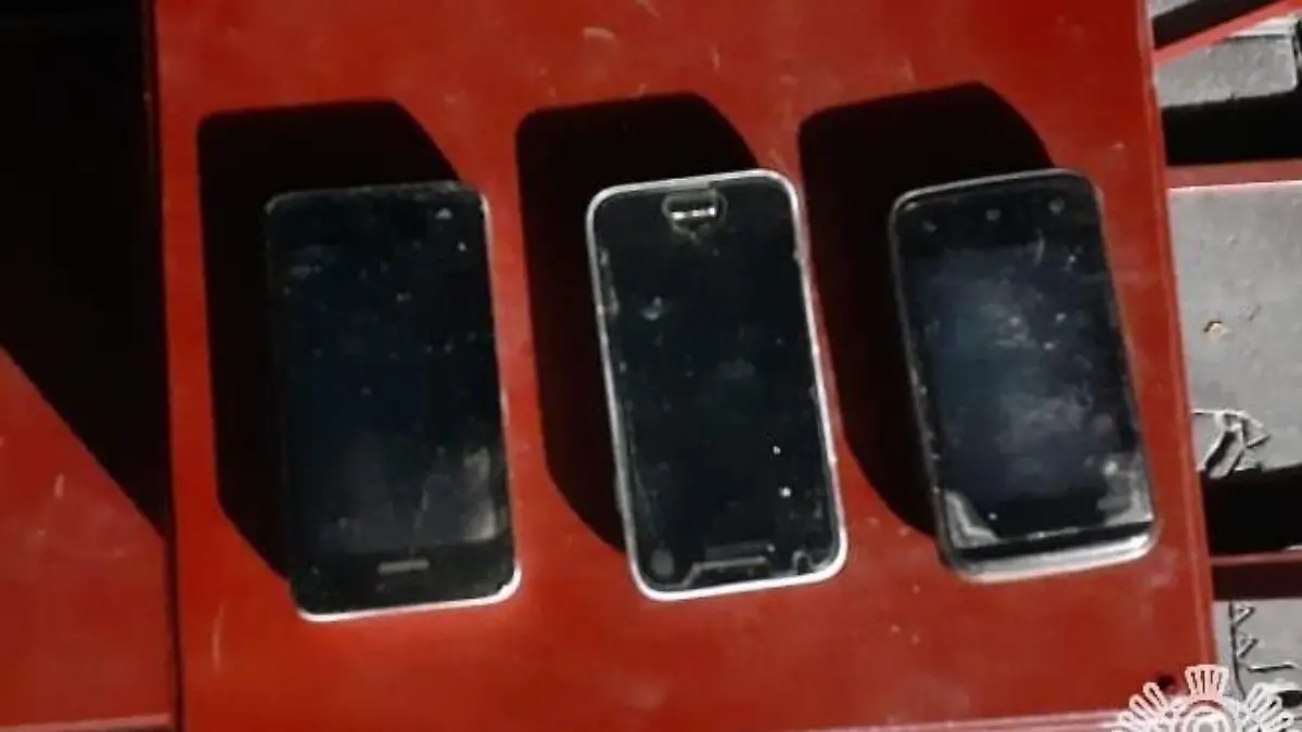 TELEFONOS DECOMISADOS