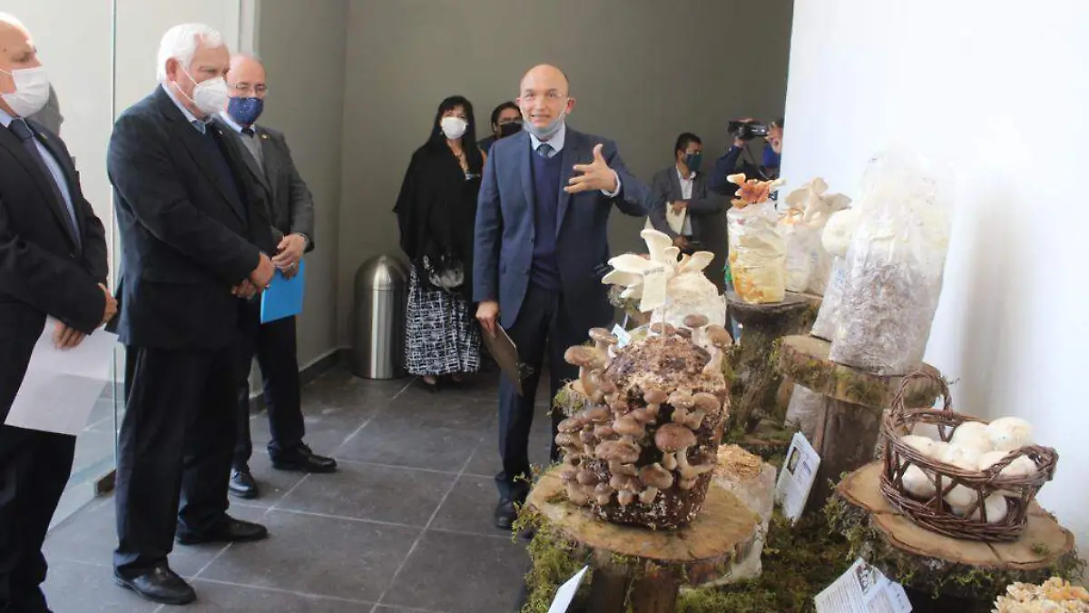 Centro de Biotecnología en Hongos Comestibles, Funcionales y Medicinales