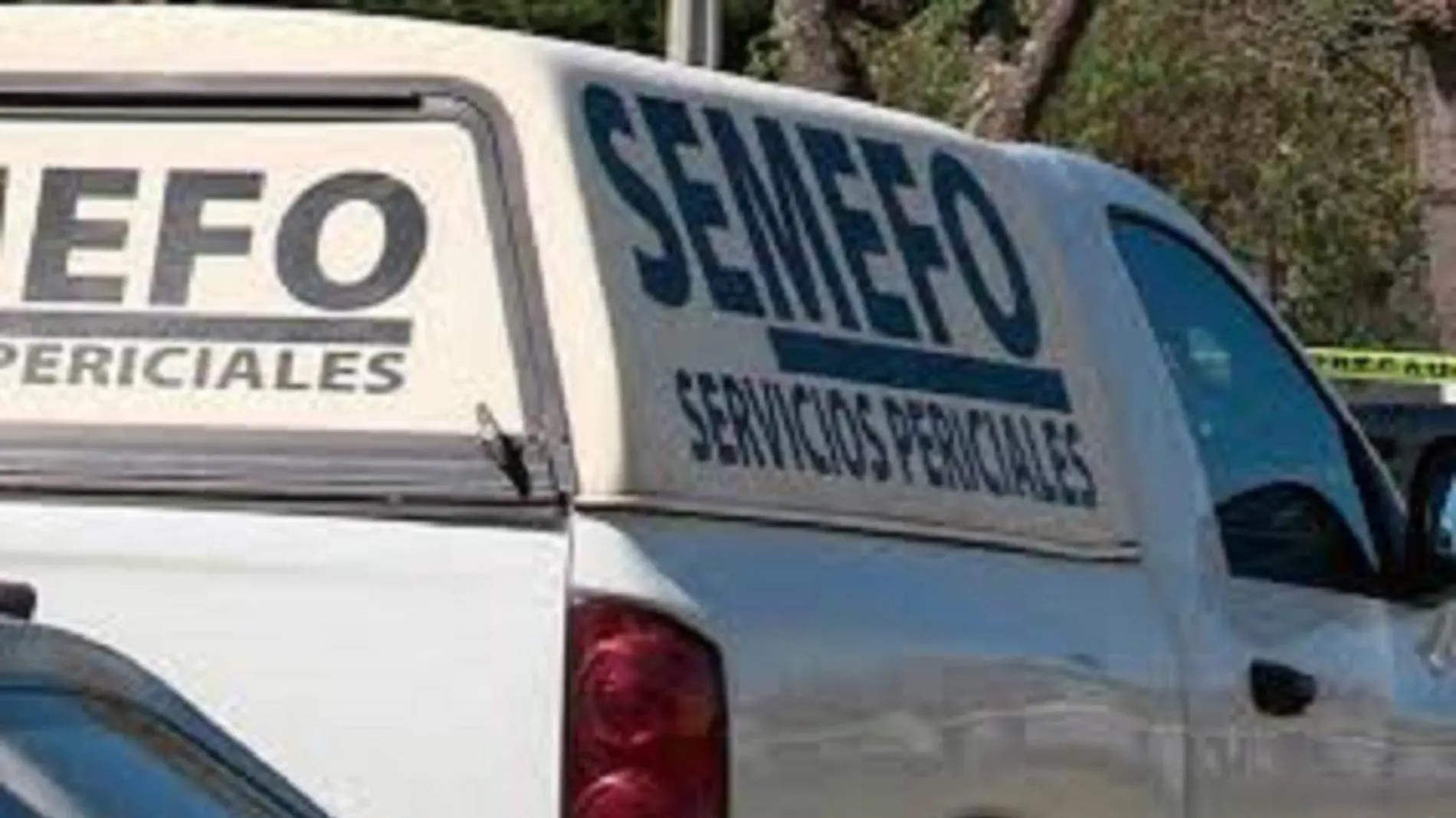 semefo