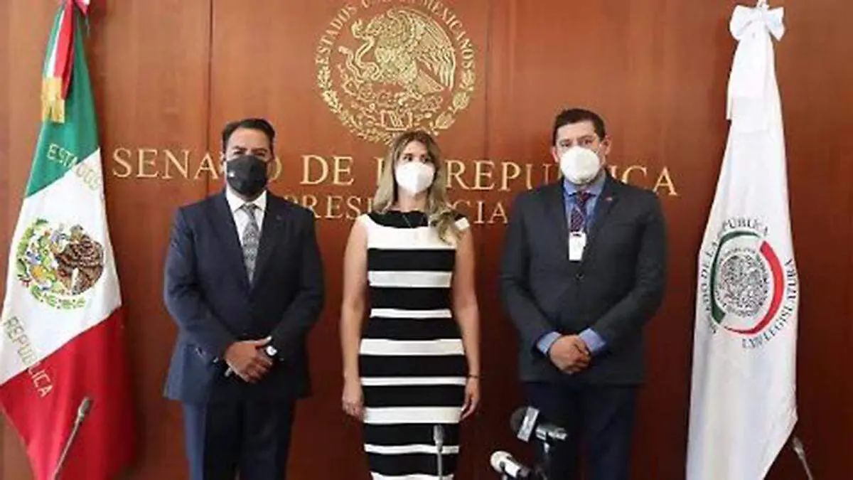 El 11 de marzo de 2021 Idamis Pastor fue electa magistrada del tribunal estatal en el Senado de la República