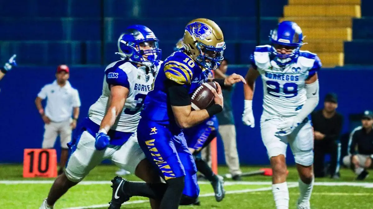 Auténticos Tigres es favorito en la semifinal ante Borregos Puebla