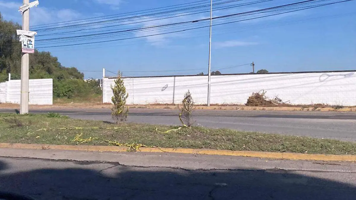 Más de 60 mil asistentes que llegarán al Tecate Comuna