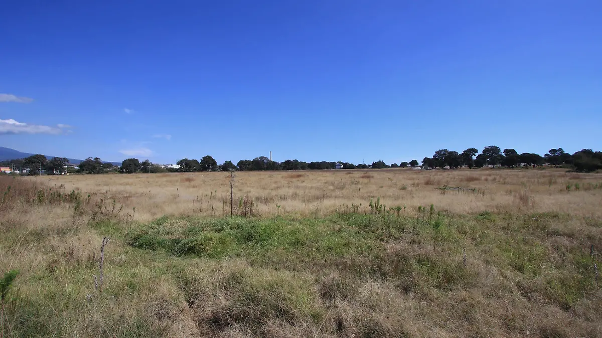 El terreno que tiene una extensión de 5 mil 513.36 metros cuadrados ubicado en la colonia Ex Hacienda las Ánimas