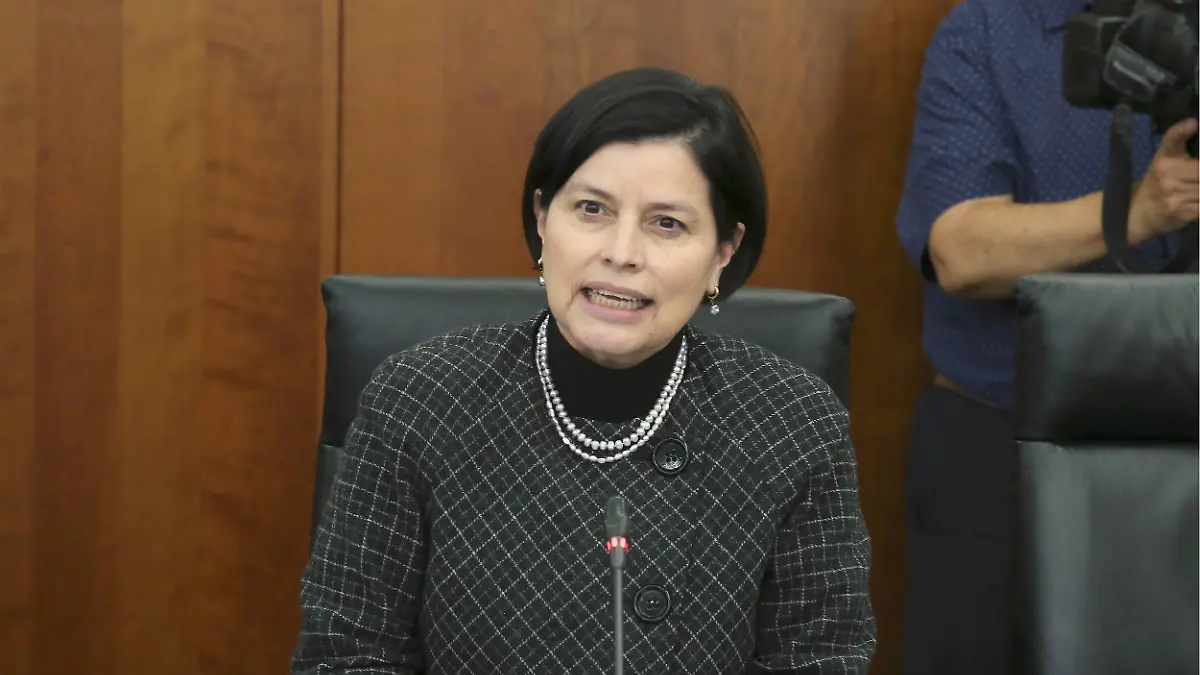 maribel_mendez_senado