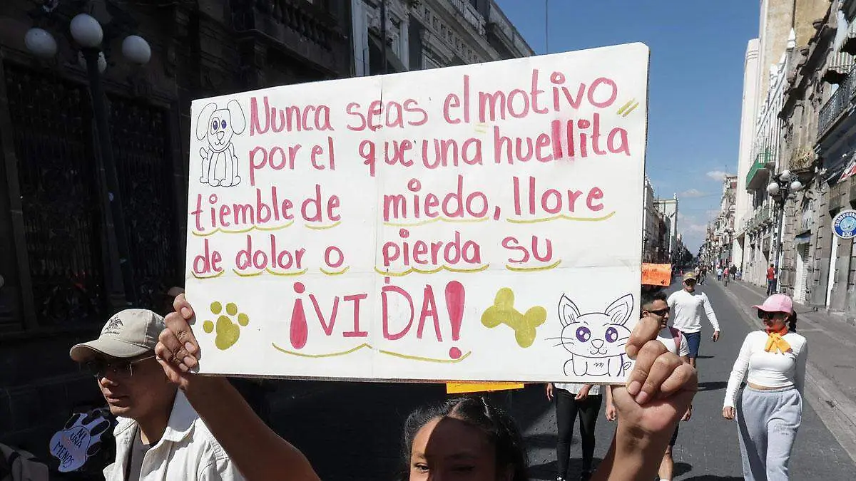 freno al maltrato animal