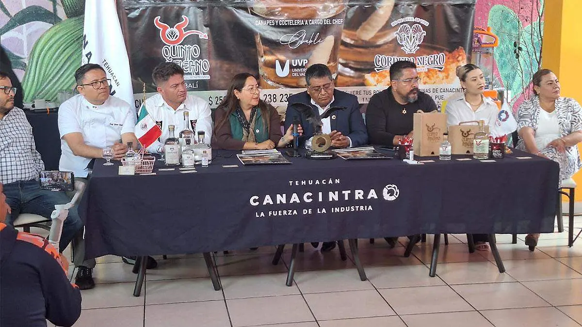 Canacintra TH web