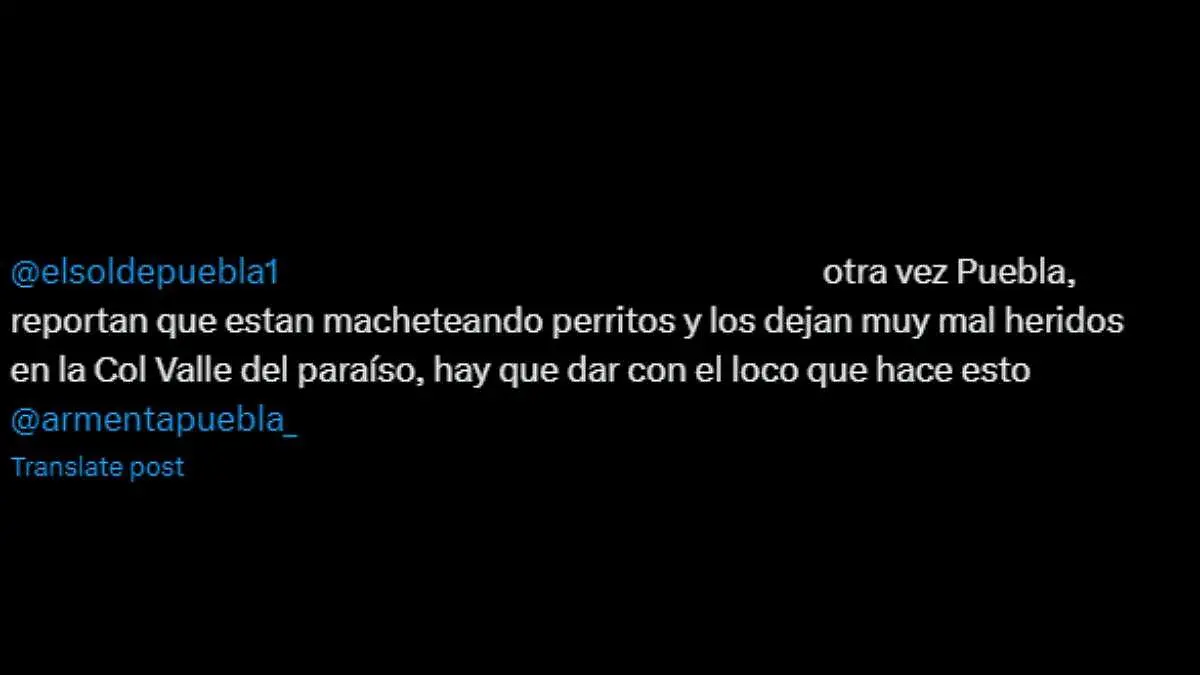 Reportan maltrato animal en X