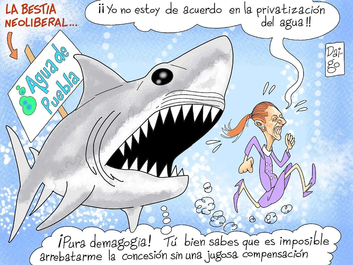 WhatsApp Image 2025-02-27 at 3.49.14 PM