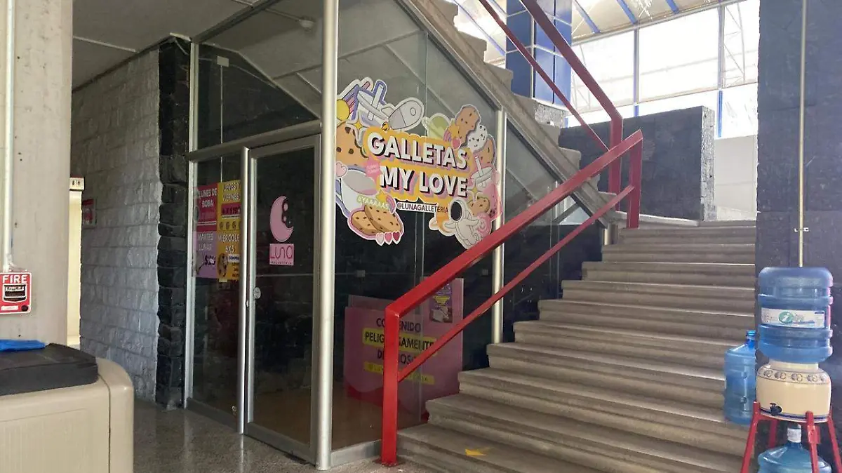 WhatsApp Image 2025-04-01 at 7.09.29 PM