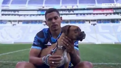 El Club Puebla juega del lado de la adopción de los perros sin hogar