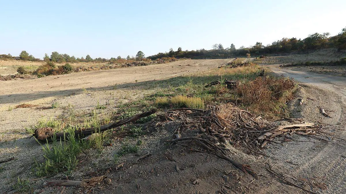 Deforestación en San Nicolás de los Ranchos 7