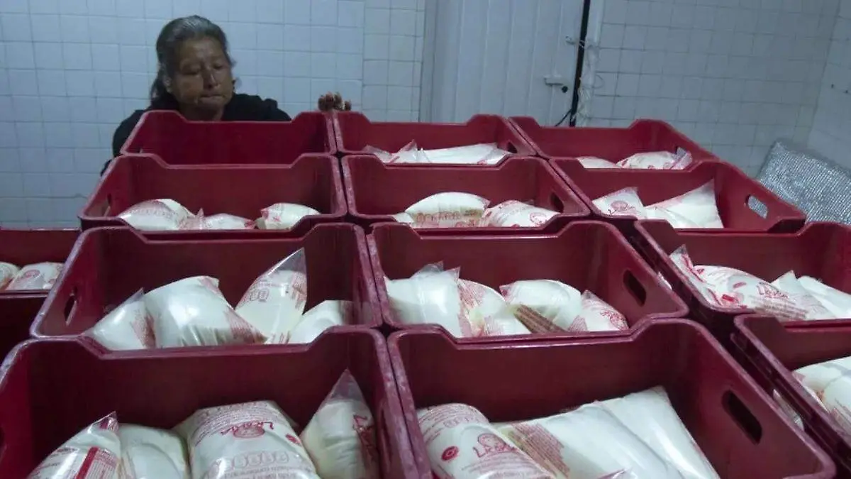 Leche Liconsa se convertirá en Leche del Bienestar