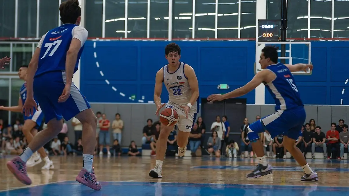 Borregos Puebla Liga ABE