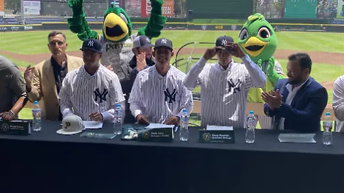 Pericos Yankees