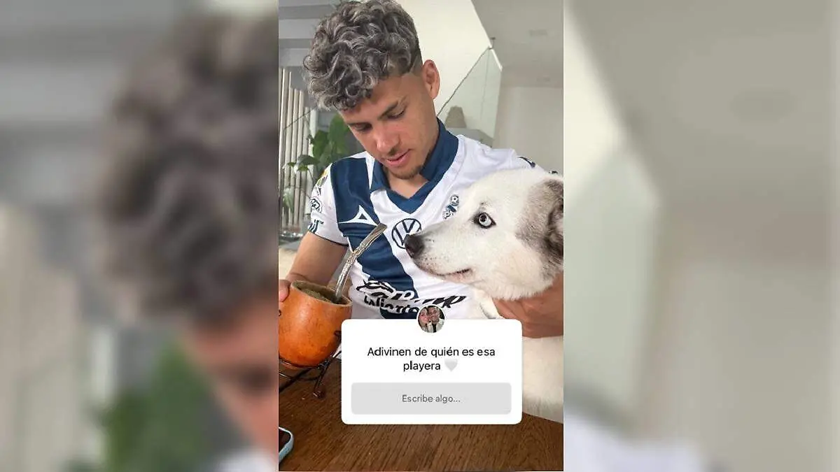 Maxi Araujo ok