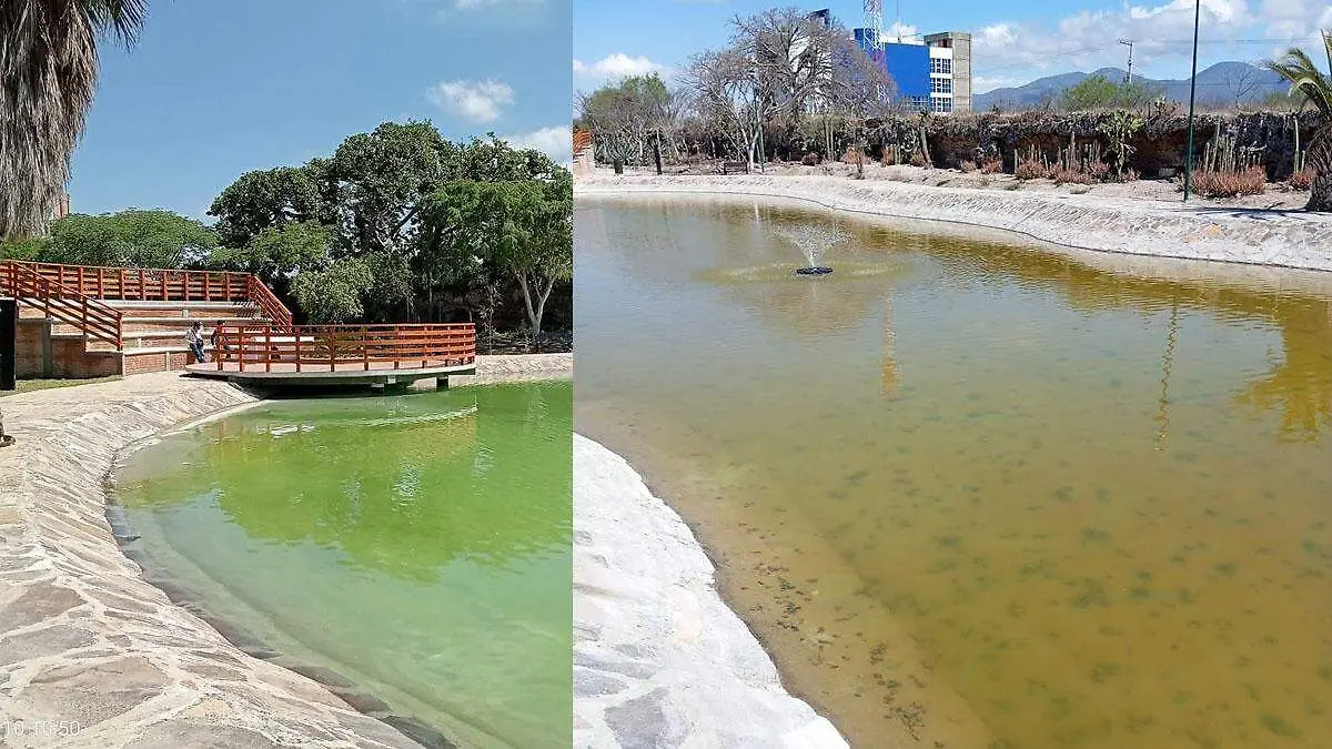 laguna artificial de tehuacán 