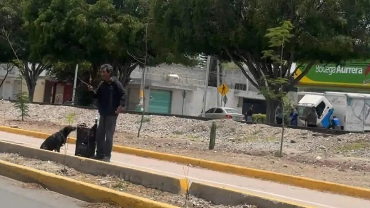 maltrato animal en tehuacan