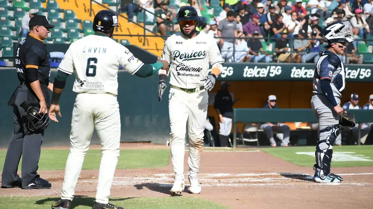 Pericos