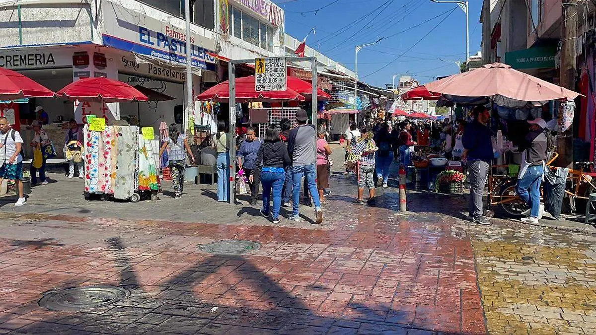 negocios-comida-tehuacan