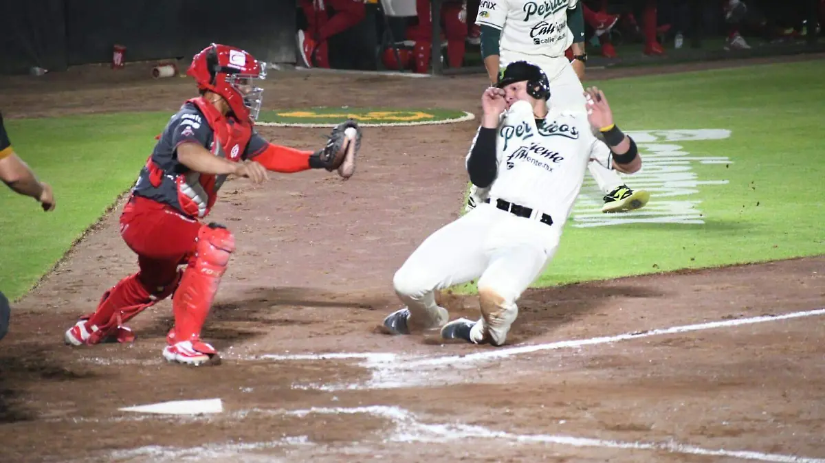 Pericos de Puebla