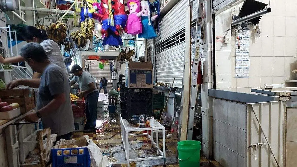 mercado 16 de marzo 
