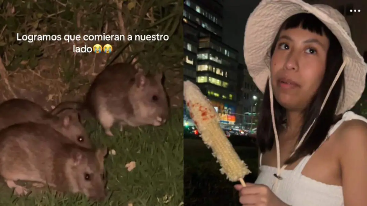 Proyecto nuevo