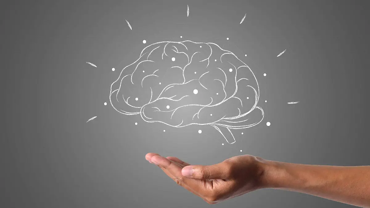 ¿Por qué repites lo que haces sin pensarlo La ciencia descubre el truco del cerebro para crear hábitos